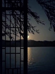 8화 - 꽃 아래 첫 인연
