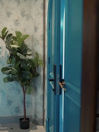 Episódio 46 - Vida oculta, esposa oculta