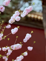 手握日月摘星辰 - Episode 7