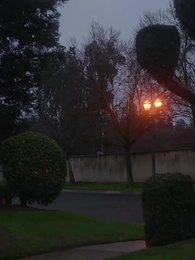 الزوجة غير المرغوبة رباط مرفوض - Episode 44