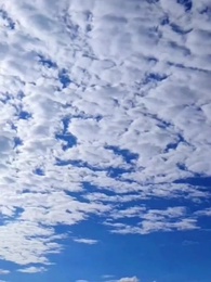 Dragon Lord's City Quest - Episode 50