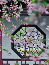 Hoa Báo Hỷ Sự - Episode 25