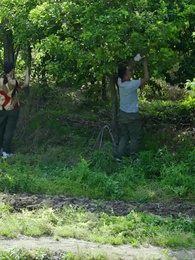 Sang Petani Gila - Episode 105