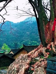 1980年代から来た小さなトレーダー - Episode 48