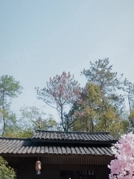 ตอนที่ 41 - ลิขิตรักข้ามภพ
