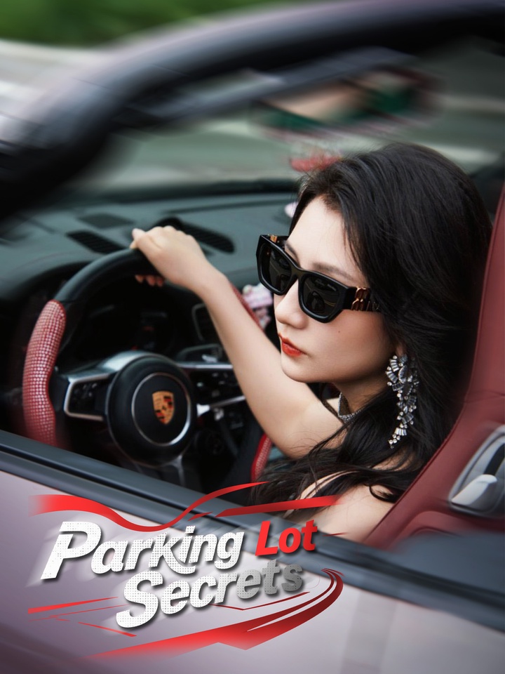 Parking Lot Secrets poster