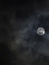 Sang Petani Gila - Episode 123