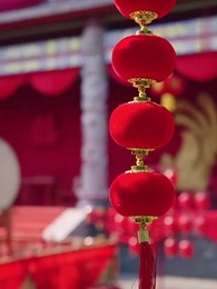 20화 - 가문의 빛을 되찾는 초미인