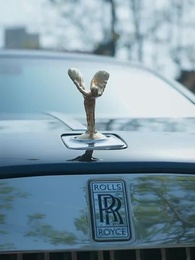 Episodio 36 - La Belleza Me Eligió