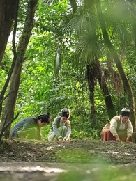 第47集 - 大姑扛著殺豬刀帶全村人炫肉