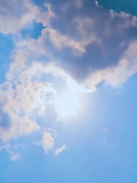 Verduras del Pasado: El Tiempo que Nos Une - Episode 43