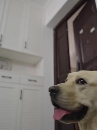 重生之都市修仙 - Episode 59