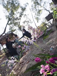 太上武神訣 - Episode 78