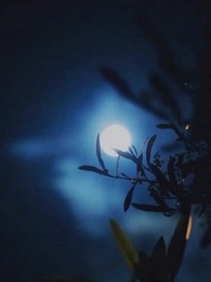 Grasping the Sun and Moon, Reaching for the Stars - Episode 38