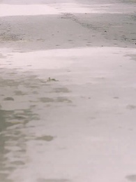 Episode 54 - Jalan Balik Menuju Masa Muda