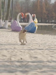 重生之都市修仙 - Episode 26