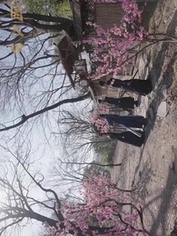 太上武神訣 - Episode 74