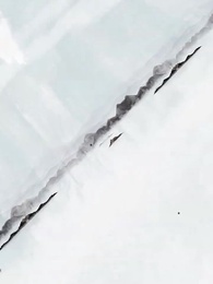 最強武婿 - Episode 1