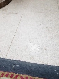 Tập 5 - Lửa giận của Linh Lung dẫm nát núi sông