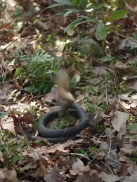 그대 마음, 칼 되어 나를 베었네 - Episode 38