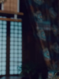 穿越之大小姐的極品家丁 - Episode 63