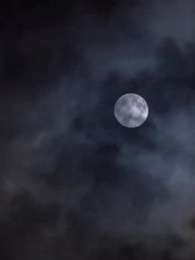 第1集 - 穿書拯救大反派