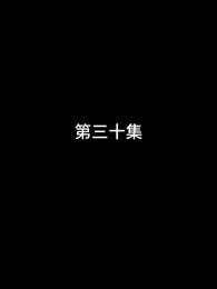 第30集 - 最強武婿