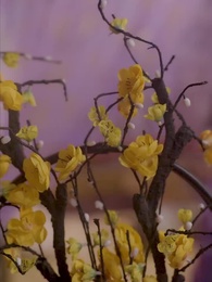 神醫毒妃颯天下 - Episode 20