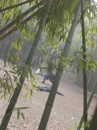 九轉星辰訣 - Episode 59