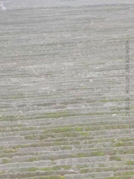 九轉星辰訣 - Episode 23