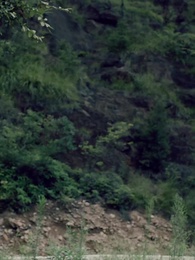 穿越之大小姐的極品家丁 - Episode 31