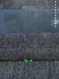 第11集 - 相逢是陌路