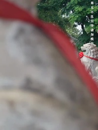 第14集 - 相逢是陌路