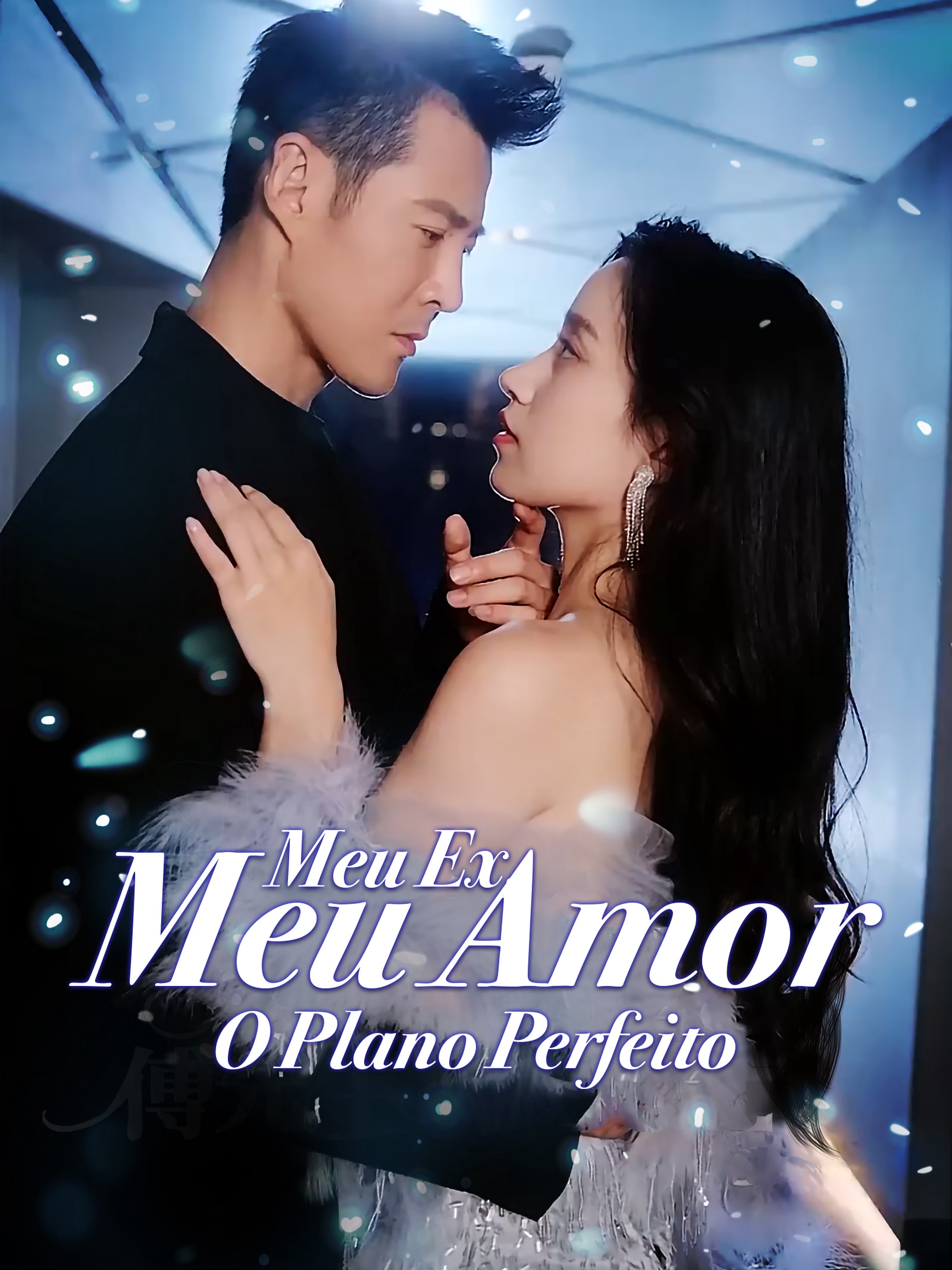 Meu Ex, Meu Amor: O Plano Perfeito
