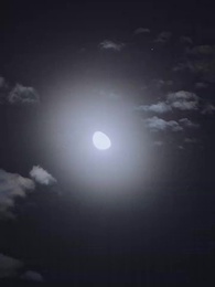 Episodio 57 - Il Mio Ex Miliardario Indesiderato