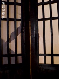 第85集 - 神醫毒妃颯天下