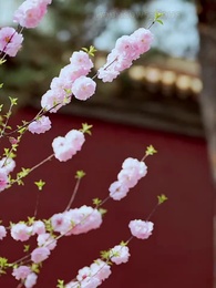 ชิงตะวันจันทร์คว้าดาว - Episode 7