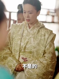 第48集 - 神醫娘親：父王今日認錯了麽