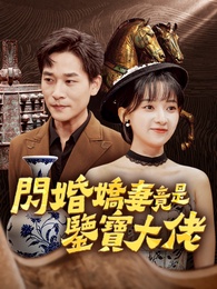 閃婚嬌妻竟是鑒寶大佬