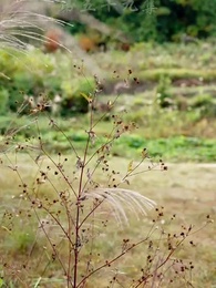 仙武帝尊 - Episode 59