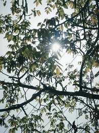 Meine Braut aus dem Himmel - Episode 2