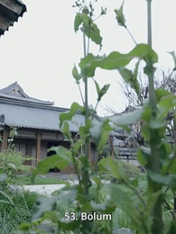 Saray Kölesinin Doğuşu - Episode 53