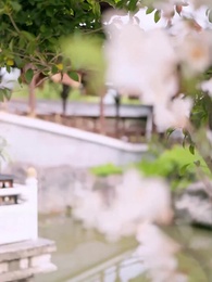 Episode 40 - Her Secret Reign