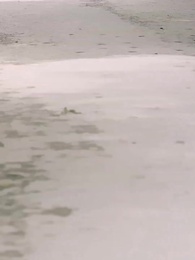 Hành Trình Trẻ Trung - Episode 54