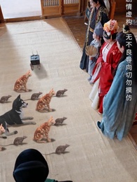 第18集 - 開局倒計時,幸運萌神小土地