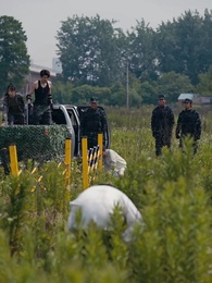 深情似草芥 - Episode 17