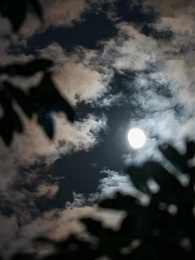 Episodio 94 - La Invisible y los Alfas