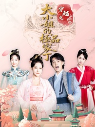 穿越之大小姐的極品家丁