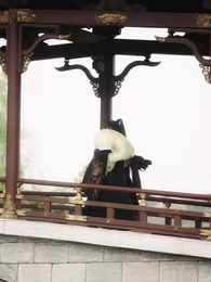 第45集 - 將軍要休妻，暴君偷聽心聲又爭又搶