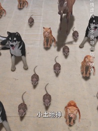 開局倒計時，幸運萌神小土地 - Episode 17